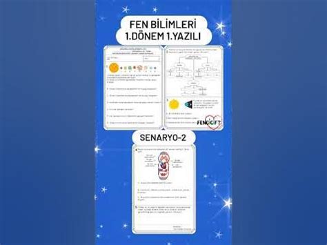 6 sınıf fen yazılıları